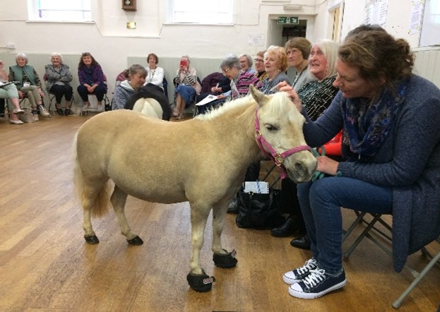 A WI Group being visited by a pony.